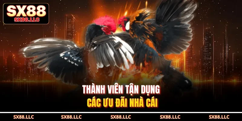 Thành viên tận dụng các ưu đãi nhà cái