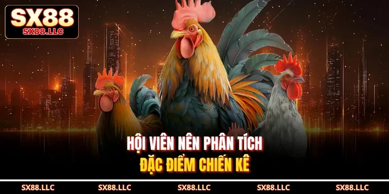 Hội viên nên phân tích đặc điểm chiến kê
